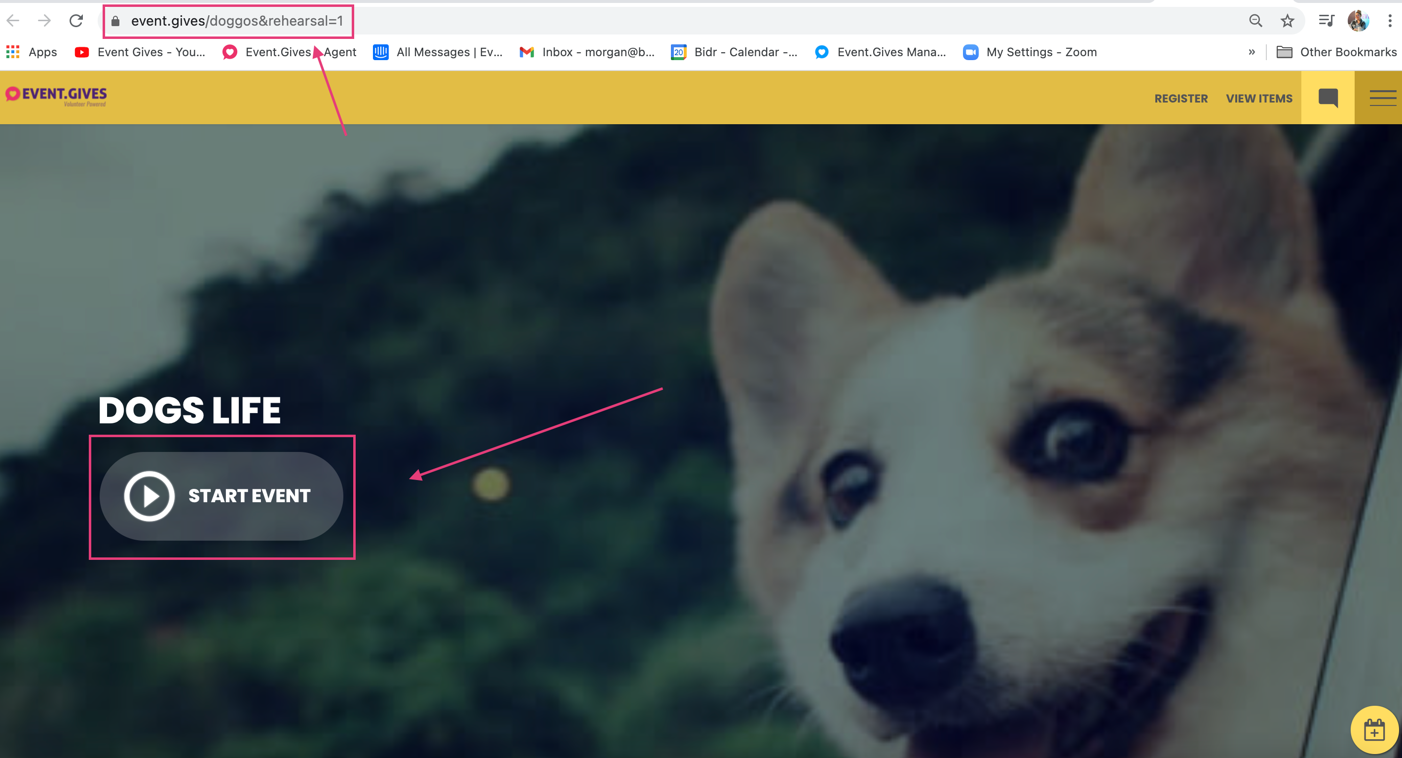 Screen_Shot_2021-05-20_at_4.05.23_PM.png