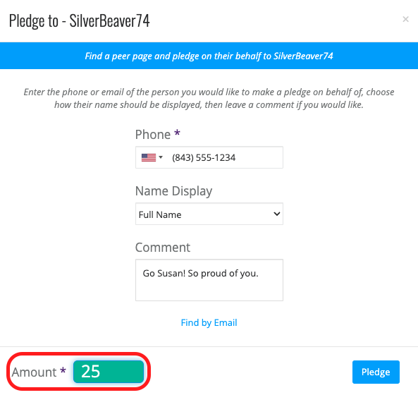 PledgeAmount.png